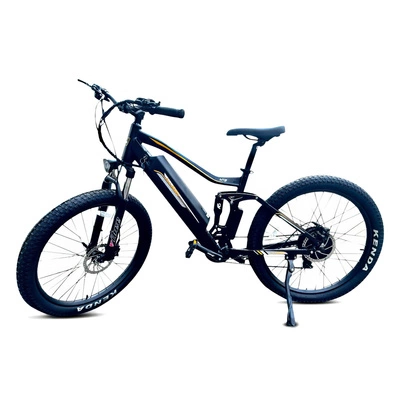 Allegro MTB Pro Electric Bike - výkon 1000W | 20Ah baterie | rychlost 30mph | dojezd 84mil